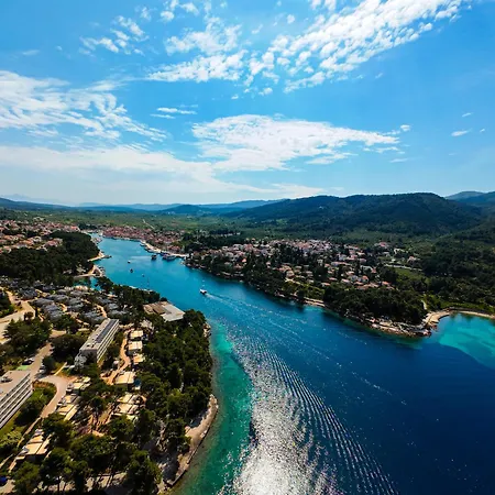 Alka Hvar *