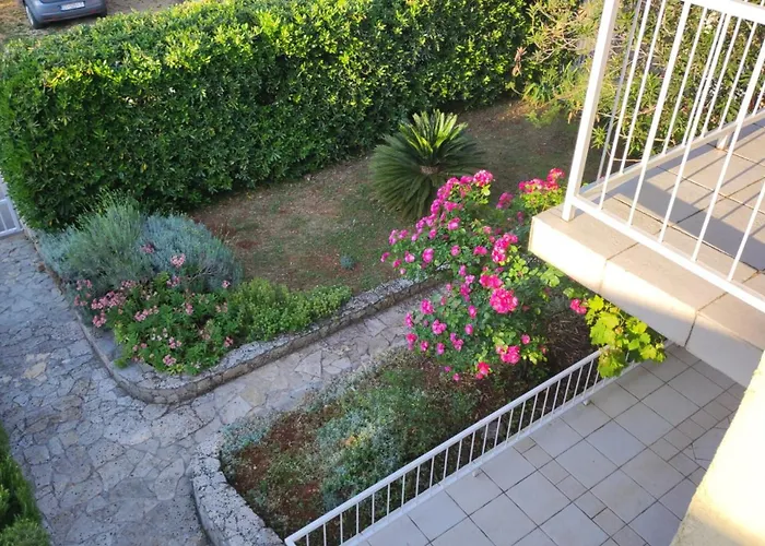Alka Hvar