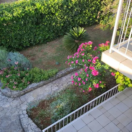 Alka Hvar