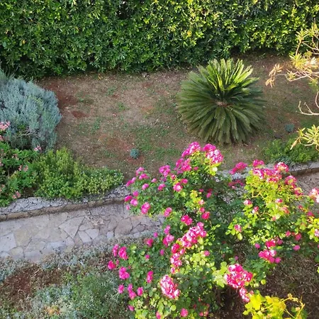 Alka Hvar Ferienhaus Stari Grad (Hvar)