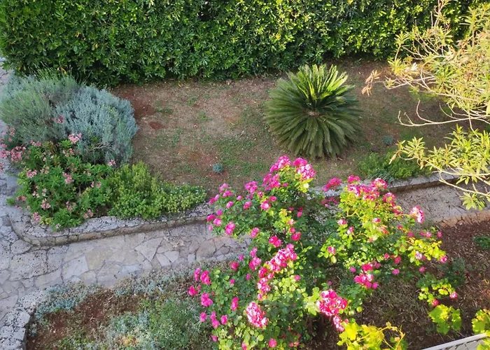 Alka Hvar Ferienhaus Stari Grad (Hvar)